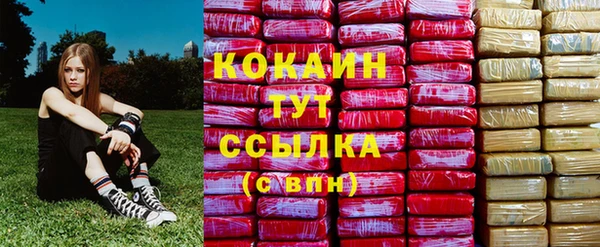 молекула духа Коряжма