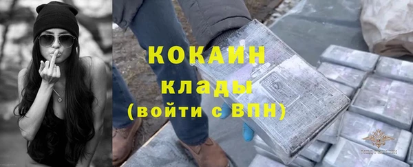 молекула духа Коряжма