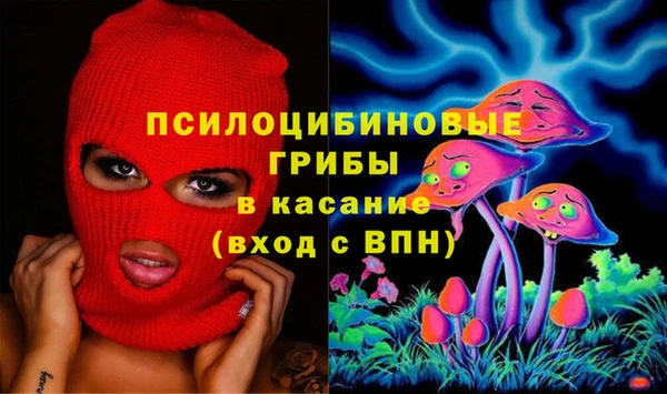 молекула духа Коряжма