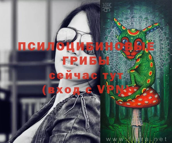 дурь Костерёво