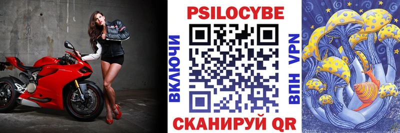 Купить  Вязьма  Псилоцибиновые грибы мухоморы 