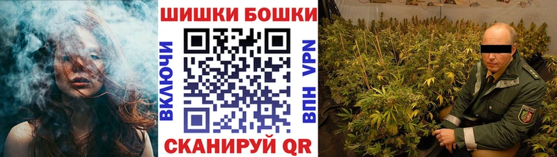 Купить где  Вязьма  Бошки Шишки сатива 